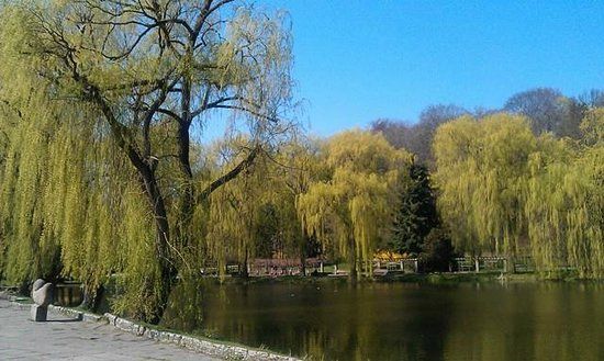 Wycieczka rowerowa